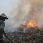Sebanyak 868 hektare lahan dan hutan terbakar dalam 419 kejadian karhutla di Jawa Tengah pada 5 Juni hingga 20 September 2026. BPBD Jateng mencatat kejadian tersebut terjadi di 34 kabupaten/kota dengan kerugian sementara sekitar Rp3 miliar, yang sebagian besar diduga dipicu pembakaran lahan, semak, dan sampah.