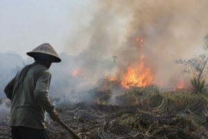 Sebanyak 868 hektare lahan dan hutan terbakar dalam 419 kejadian karhutla di Jawa Tengah pada 5 Juni hingga 20 September 2026. BPBD Jateng mencatat kejadian tersebut terjadi di 34 kabupaten/kota dengan kerugian sementara sekitar Rp3 miliar, yang sebagian besar diduga dipicu pembakaran lahan, semak, dan sampah.
