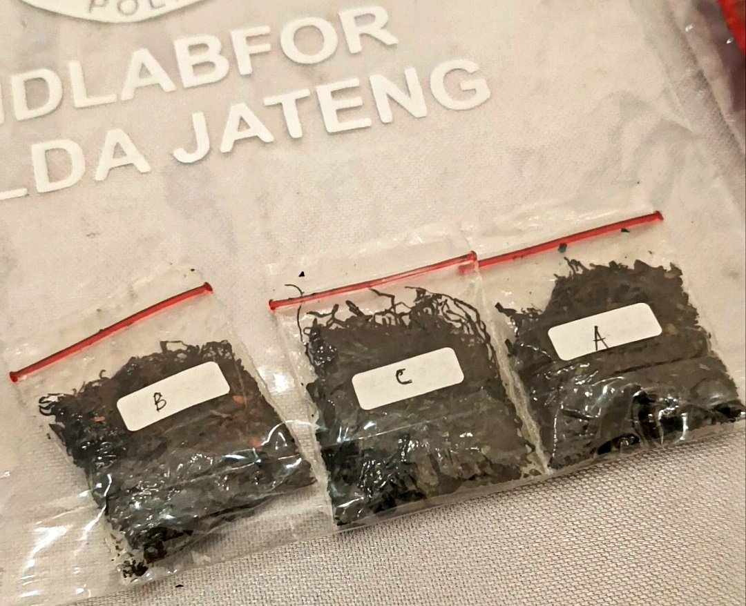 Satresnarkoba Polres Semarang mengungkap keterlibatan dua pelajar asal Kabupaten Grobogan dalam peredaran tembakau sintetis atau gorila di Kecamatan Sumowono, Kabupaten Semarang. Keduanya diamankan polisi dan telah dilimpahkan ke kejaksaan. Berdasarkan pemeriksaan, tembakau sintetis diedarkan melalui media sosial, sementara polisi masih mendalami kemungkinan keterlibatan pihak lain.