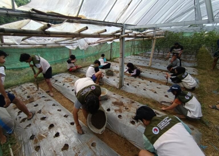 Fakultas Pertanian dan Bisnis UKSW melalui program KKN mendampingi 25 warga Dusun Sengon, Desa Manggihan, Getasan, Kabupaten Semarang, mengolah bio-slurry dan limbah kotoran sapi menjadi pupuk organik cair, pupuk organik padat, serta MOL. Kegiatan selama sebulan ini mendorong pemanfaatan bahan lokal untuk mendukung pertanian berkelanjutan dan mengurangi ketergantungan pada pupuk kimia.
