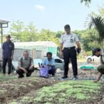 Lapas Kelas IIB Purwodadi bersama Dinas Pertanian memperkuat pembinaan kemandirian warga binaan melalui Program Sekolah Tani. Pada tahap ketiga, warga binaan mempelajari budidaya bayam, kangkung, dan pisang Raja Bulu melalui teori serta praktik langsung di lahan Lapas Purwodadi. Program ini dilakukan untuk membekali warga binaan dengan keterampilan pertanian produktif sebelum kembali ke masyarakat.