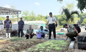 Lapas Kelas IIB Purwodadi bersama Dinas Pertanian memperkuat pembinaan kemandirian warga binaan melalui Program Sekolah Tani. Pada tahap ketiga, warga binaan mempelajari budidaya bayam, kangkung, dan pisang Raja Bulu melalui teori serta praktik langsung di lahan Lapas Purwodadi. Program ini dilakukan untuk membekali warga binaan dengan keterampilan pertanian produktif sebelum kembali ke masyarakat.