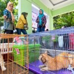 Sebanyak 35 kucing jalanan dari wilayah Ungaran, Kabupaten Semarang, dikumpulkan pegiat untuk mengikuti sterilisasi dan vaksinasi rabies gratis di Dispertanikap Kabupaten Semarang, Kamis (24/9/2026). Kegiatan tersebut menjadi bagian dari pengendalian populasi kucing dan pencegahan rabies, dengan kucing dirawat hingga pulih sebelum dikembalikan ke lokasi semula.
