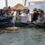 Pemkab Semarang mendorong Wisata Edukasi Setepeng di Bergas Lor menjadi pusat pelatihan keterampilan bagi masyarakat, termasuk ASN dan non-ASN menjelang pensiun. Budidaya ayam petelur dan ikan menjadi salah satu pilihan usaha yang dapat dipelajari secara langsung. Kawasan seluas sekitar 2,2 hektare itu juga akan dikembangkan dengan tanaman buah dan komoditas lainnya.