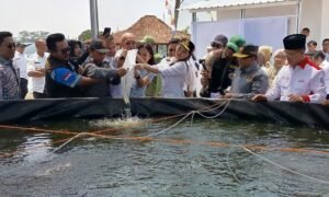 Pemkab Semarang mendorong Wisata Edukasi Setepeng di Bergas Lor menjadi pusat pelatihan keterampilan bagi masyarakat, termasuk ASN dan non-ASN menjelang pensiun. Budidaya ayam petelur dan ikan menjadi salah satu pilihan usaha yang dapat dipelajari secara langsung. Kawasan seluas sekitar 2,2 hektare itu juga akan dikembangkan dengan tanaman buah dan komoditas lainnya.