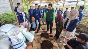 Karang Taruna Dharma Remaja Desa Manggihan, Kecamatan Getasan, Kabupaten Semarang, mengolah kotoran sapi menjadi pupuk organik untuk mengurangi persoalan lingkungan dan potensi konflik sosial. Inovasi yang dikembangkan bersama masyarakat ini dinilai memberi manfaat ekonomi dan mengantarkan kelompok tersebut menjadi lima besar kandidat Karang Taruna Berprestasi Tingkat Nasional 2026.