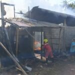 Kandang Sapi di Salatiga Terbakar, Tiga Sepeda Motor Hangus Dilalap Sijago Merah
